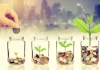 What is a Term Deposit