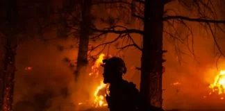 Huge wildfire breaks out near Tunisian capital