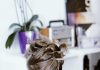 How to Improve Fashion Style Without Going to the Salon
