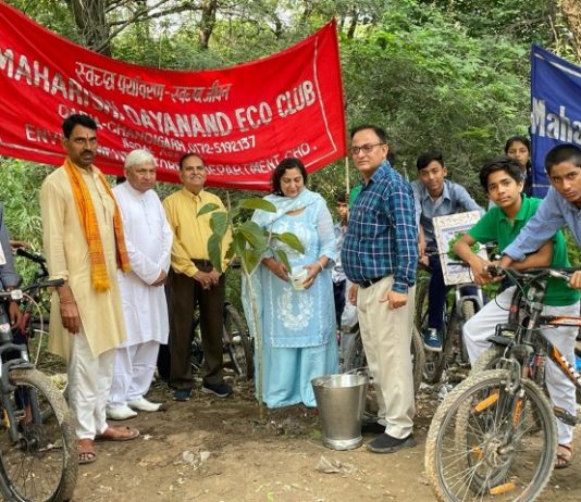 Celebrated Green Consumer Day by cycle rally and plantation