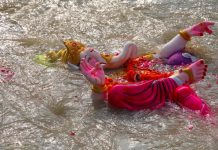 Six drown in Ganesh idol immersion in Haryana