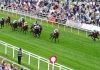 Unpicking The Results of The Indian St Leger