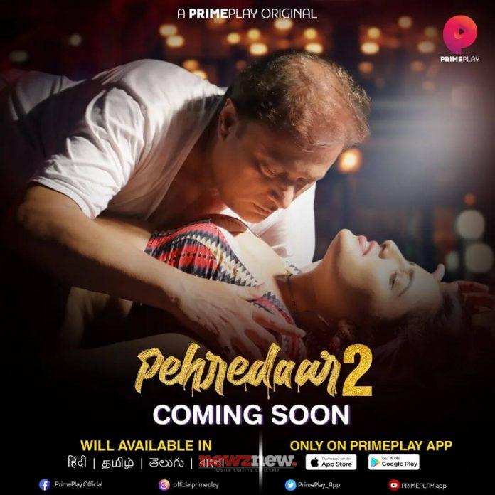 Pehredaar 2 Web Series (2022) Prime Play: Cast, Crew, Release Date, Roles, Real Names