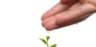 Yes we are interested www.newznew.com $200 for normal Article $500 for Casino/ Betting/ CBD/ Gambling etc. Related article $85 for link insertion $75 for author link Homepage link - $700 All links will be permanent with dofollow backlinks. Thanks and Regards