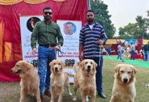 Royal Kennel Club's Mega Dog Show begins in Panchkula