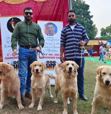 Royal Kennel Club's Mega Dog Show begins in Panchkula