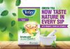 Tetley Green Tea expands its wellness range with the launch of Tetley Green Tea Immune Tulsi