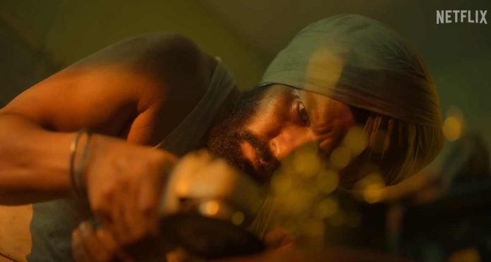 Watch CAT Hindi Web Series Episodes (2022) Online On Netflix | Randeep Hooda