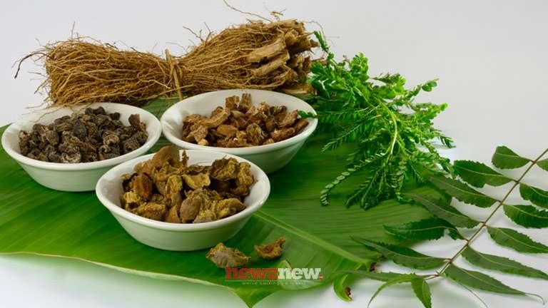Find More About The Best Ayurvedic Doctor In India Before Having Treatment