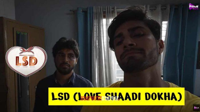 LSD (Love Shaadi Dokha) Web Series