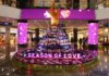 Nexus Elante decks up with love and flowers during this Valentines