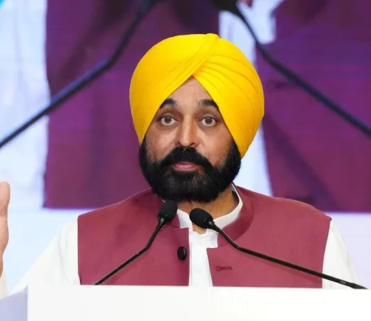 Punjab CM keen to replicate Telangana irrigation model