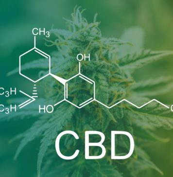 What Is Full Spectrum CBD