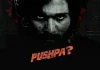 Pushpa 2 Movie [2023]