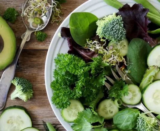 Plant-based diet