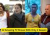 12 Amazing TV Shows And Mini Series With Only 1 Season