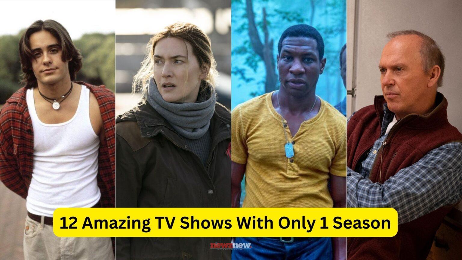 12 Amazing TV Shows And Mini Series With Only 1 Season - NewZNew