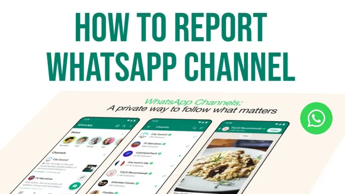 How to Report a Channel on WhatsApp