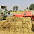 Over 24k Farmers to get subsidised crop residue Management Machines in Punjab