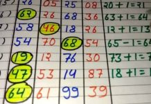 Unlocking the Mystery of Satta King Results