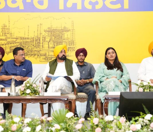 CM Bhagwant Singh Mann Exhorts Industrialists To Set Up Their Units In Rural Areas Of State