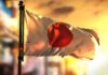 Japan govt to seek court order to disband controversial religious sect
