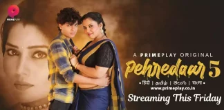 Pehredaar Season 5 Web Series (2023) On Primeplay