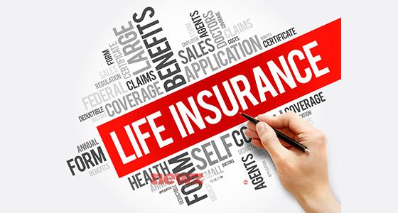 What are Life Insurance Features and Benefits
