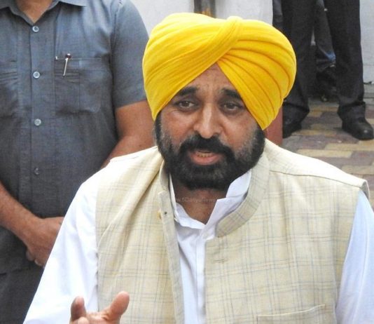 Punjab CM orders FIR against mob forcing official to burn paddy straw