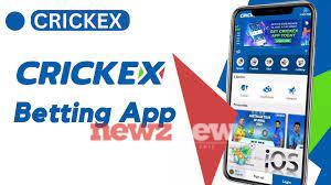Differences Between Crickex App and the Website