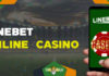 Linebet Betting Options