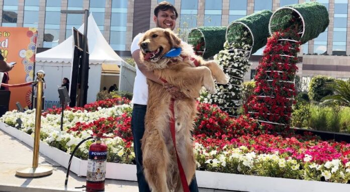 Two day pet festival begins in Chandigarh