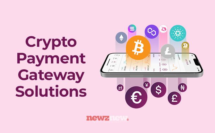 Introduction to Cryptocurrency Payment Gateways