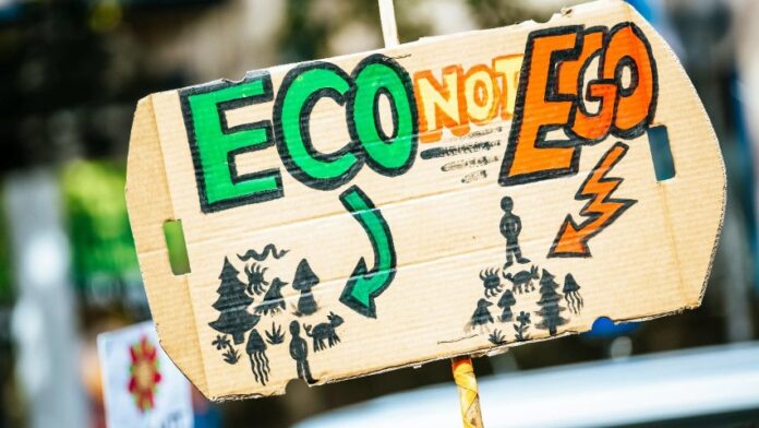 How Agriculture Curriculums Are Adapting to Climate Change and Sustainability