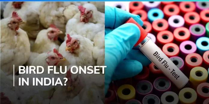 H9N2 Bird Flu in India: Causes, Symptoms & Stay Protected