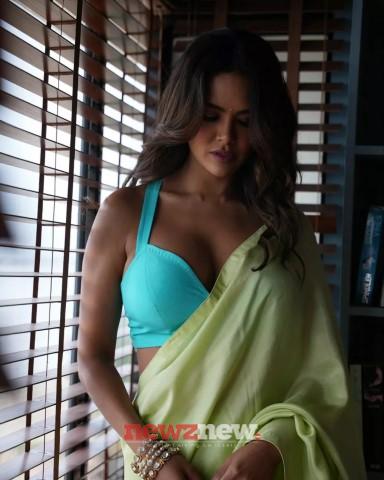 Esha Gupta Hot and Sexy Pictures