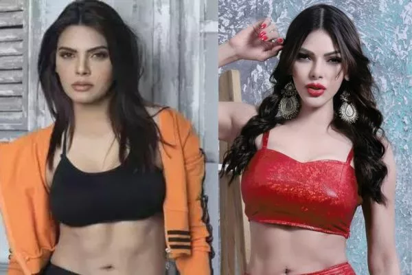 Top 5 Must-Watch Hot Sherlyn Chopra Web Series (2025)