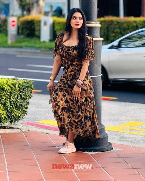 Anupama Prakash Web Series