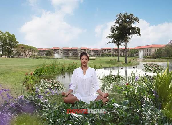 7 properties to visit near Delhi: As travel preferences shift towards short, meaningful breaks, the demand for charming, experience-led escapes closer to home is on the rise.