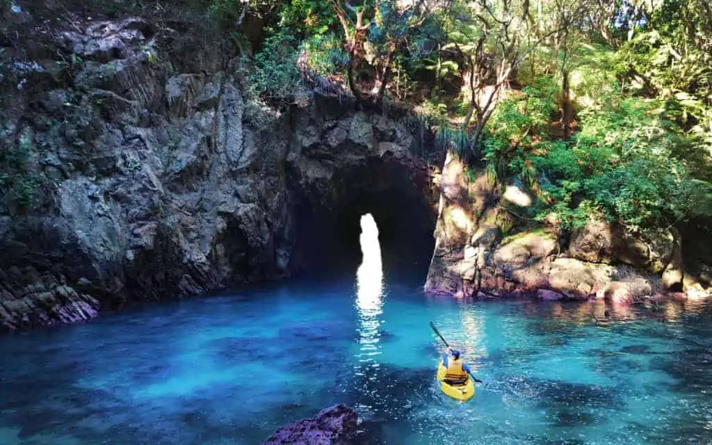Mystery Adventures in New Zealand with Social Nature Movement