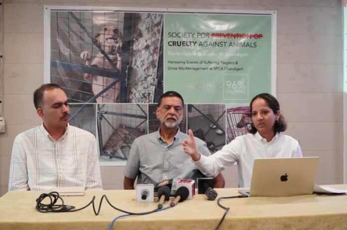 Harrowing neglect, suffering and mismanagement at SPCA Chandigarh