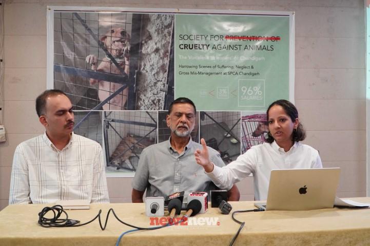 Harrowing neglect, suffering and mismanagement at SPCA Chandigarh