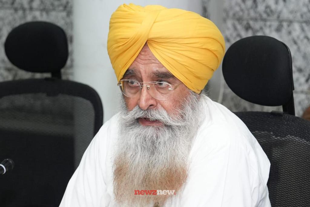 Punjab's Cotton Cultivation Witnesses 20% Surge, Reaches 2.98 Lakh