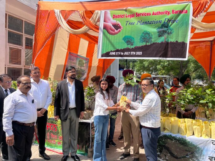 District Legal Services Authority launches tree planting campaign
