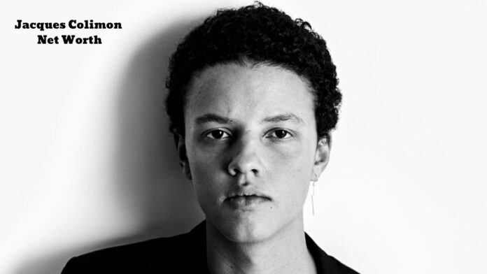 Discover Jacques Colimon Net Worth and Financial Success