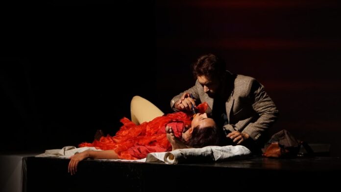 ‘Finding Vincent’: A Multilingual Theatrical Presentation on Vincent van Gogh Held