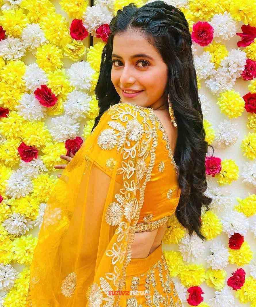 Alisha Parveen Age, Family, Husband, Movies, Wiki, Biography