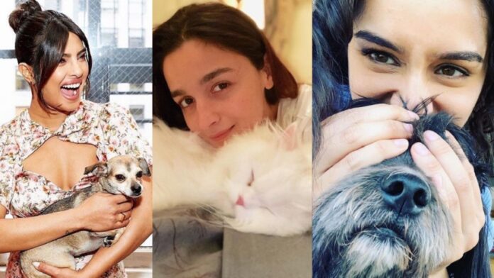 Celeb Pets That Are More Famous Than Their Owners
