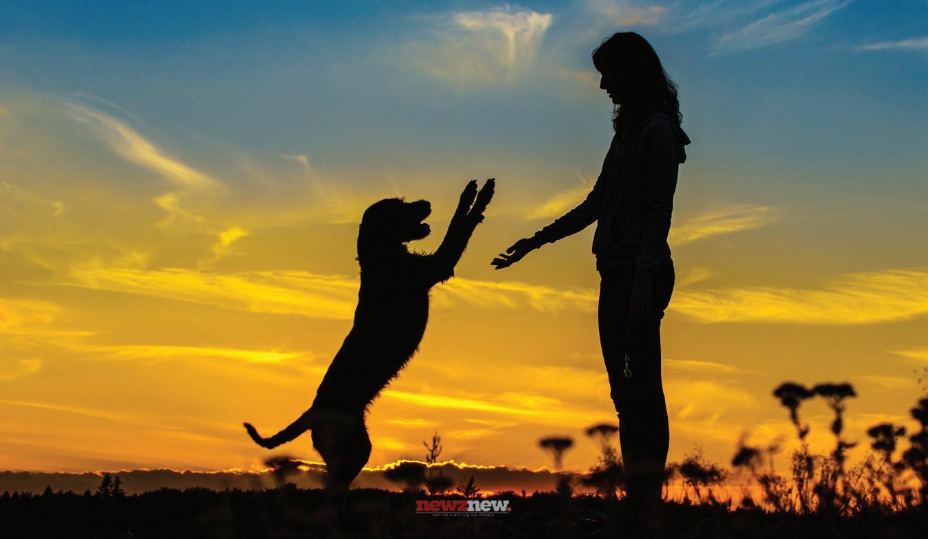 The Human-Animal Bond