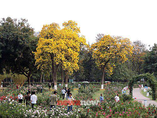 Top 10 Beautiful Places in and Around Chandigarh